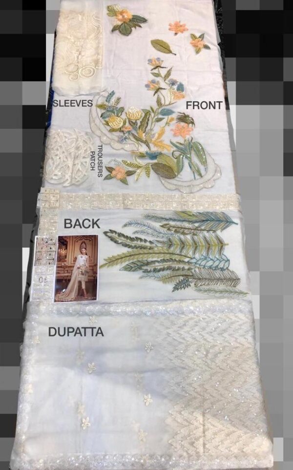 Embroidered Chiffon Es-11