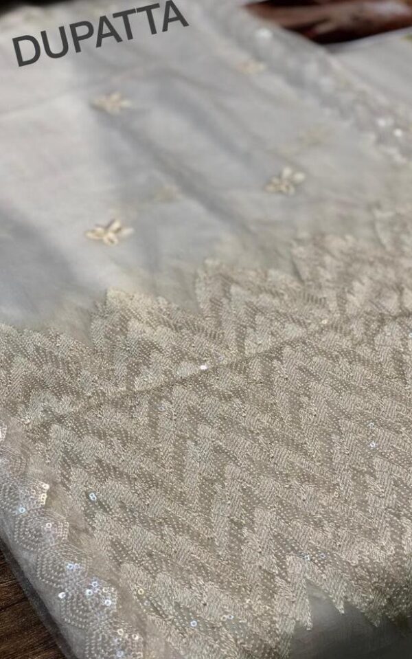 Embroidered Chiffon Es-11